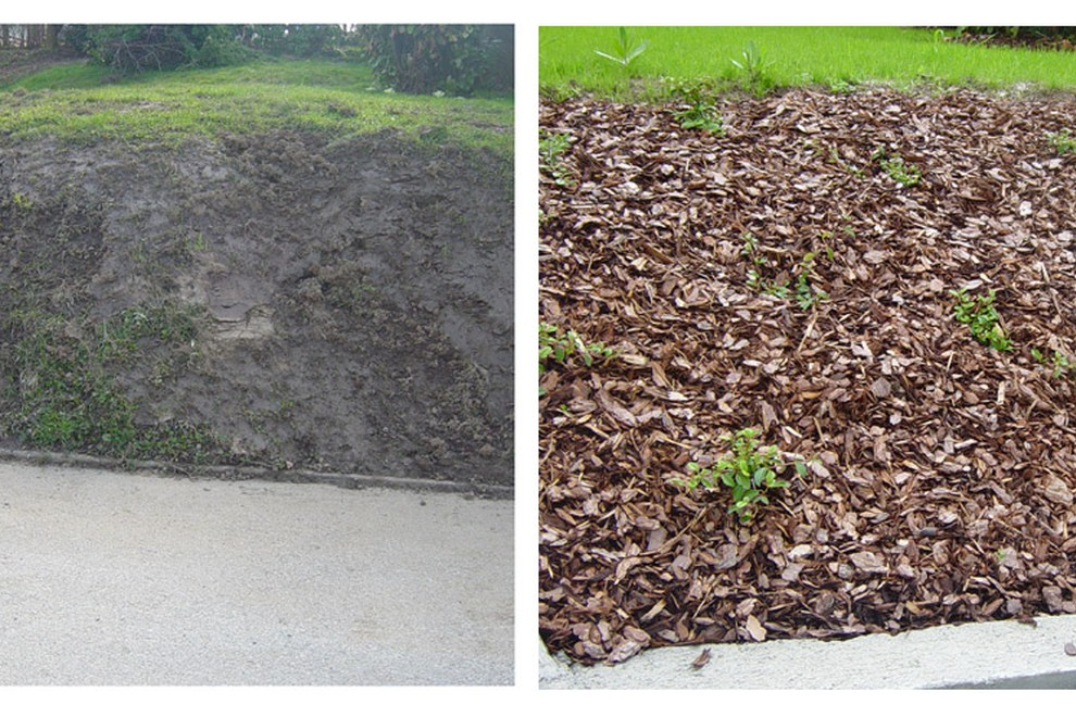 Pred in po posegu urejevalke vrtov in okolice.