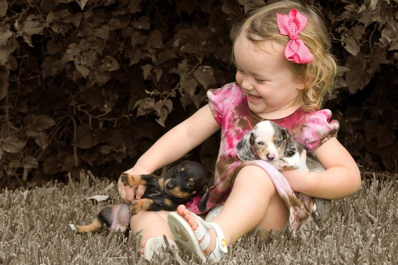 Sreča je v malih stvareh. (foto: Shutterstock)