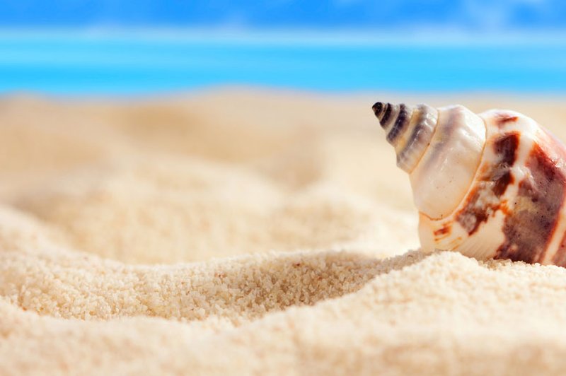 Pričarajte si večno poletje (foto: Shutterstock)