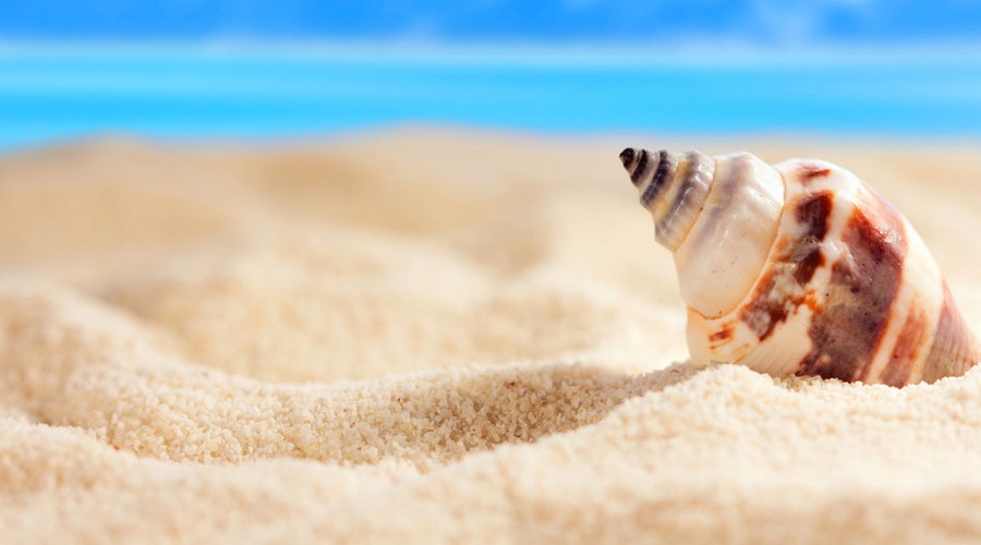 Pričarajte si večno poletje (foto: Shutterstock)