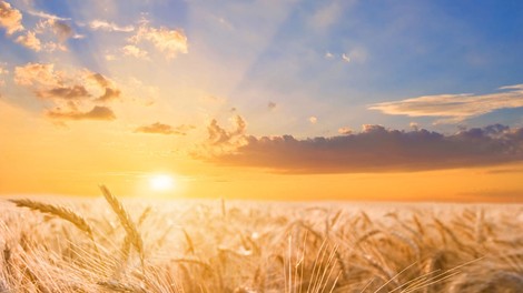 Čudovito življenje...