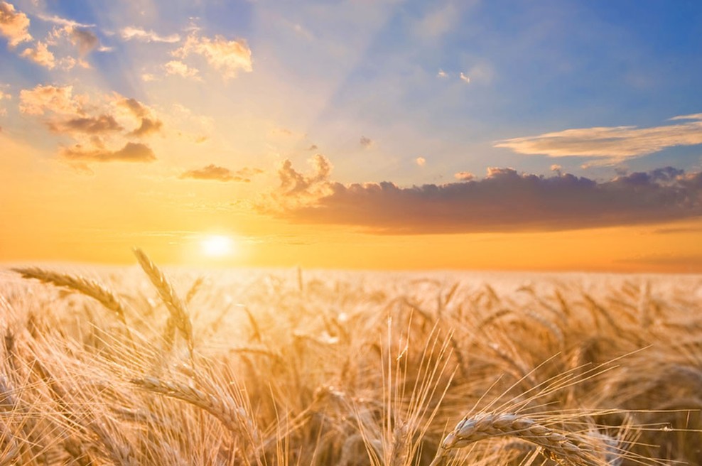 Čudovito življenje... (foto: Shutterstock)