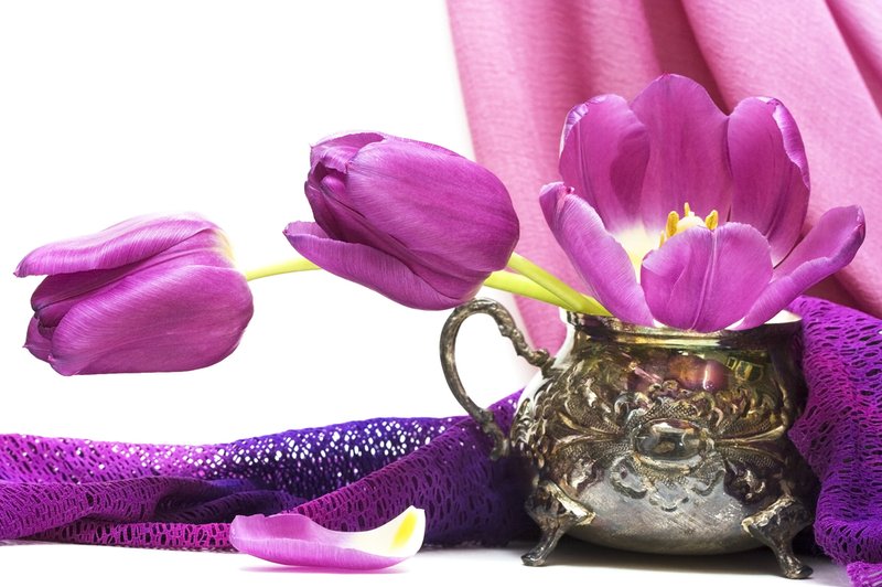 Šopek tulipanov (foto: Shutterstock)