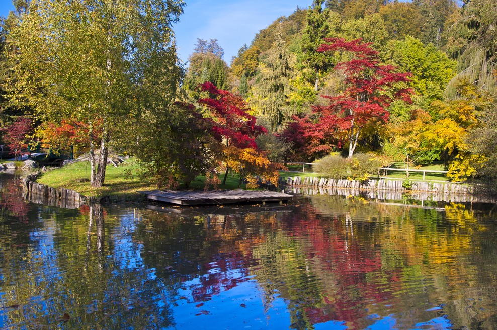 Arboretum Volčji Potok (foto: Shutterstock)