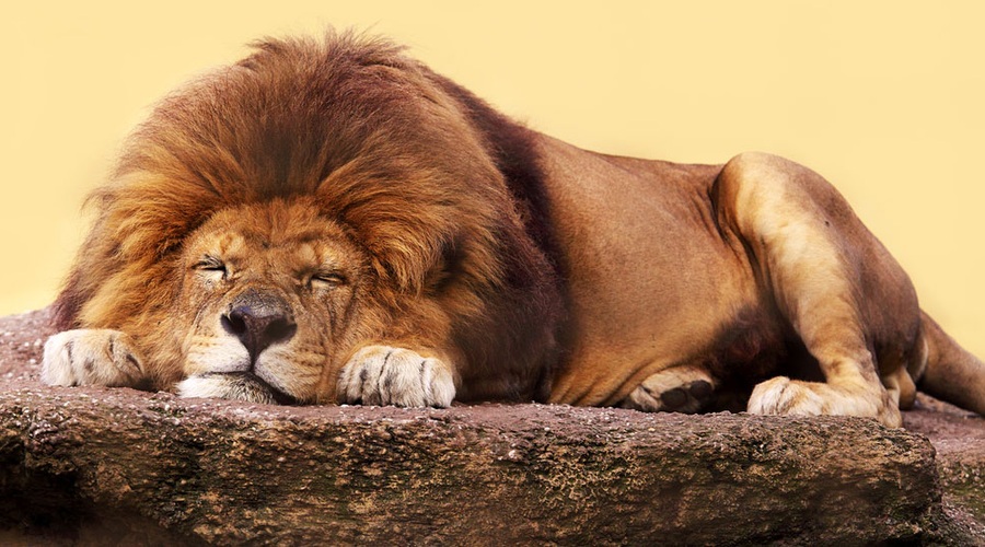 Sedem smrtnih grehov: Lenoba (foto: Shutterstock)