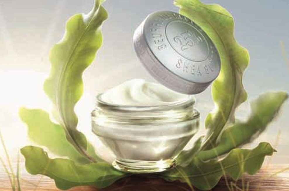 L'Occitane: Kolekcija za nego kože s karitejevim maslom. (foto: Arhiv L'Occitane)