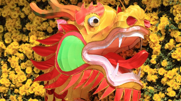 Kitajski horoskop, februar 2012 (foto: Shutterstock)