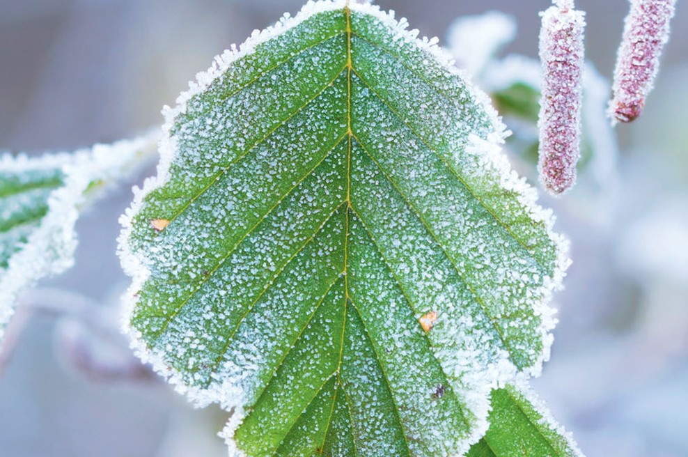 Bodite ljubezen (foto: Shutterstock)