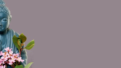 Osredotočite se ...