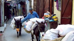 Medina v Fesu - V njenih ozkih ulicah se boste zaman  poskušali izogniti natovorjenim oslom, ki nosijo bale kož in šopke sveže mete.
