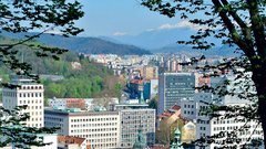 
                                                         Ljubljana - mesto za zaljubljence
