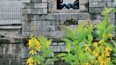 
                                                         Ljubljana - mesto za zaljubljence