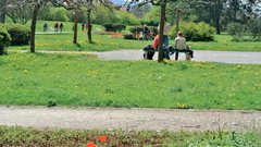 
                                                         Ljubljana - mesto za zaljubljence