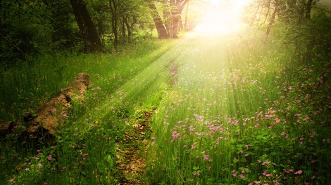 Sporočilo za današnji dan: Odločnost. 