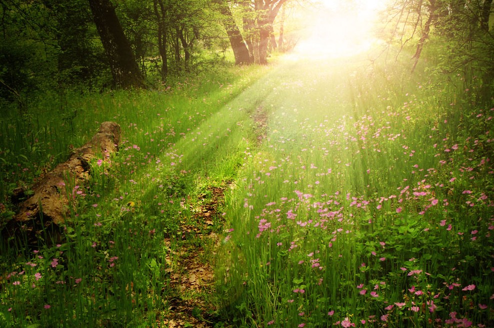 Sporočilo za današnji dan: Bodite v stiku s seboj. (foto: Shutterstock)