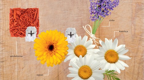 Narava je največji zdravnik - domača zeliščna lekarna