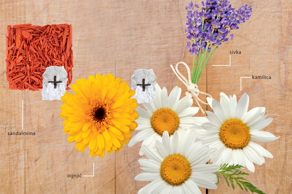 Domača zeliščna lekarna (foto: Shutterstock)