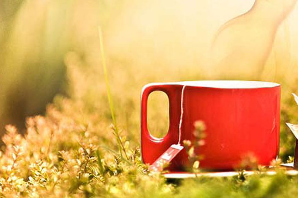 Kako hrani zvišati energijo? (foto: Cuba Gallery)