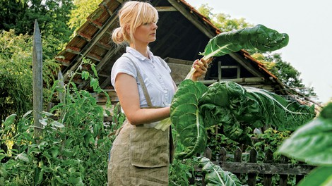 Ekološko sadje in zelenjava: Vstopite v vrt zdravja