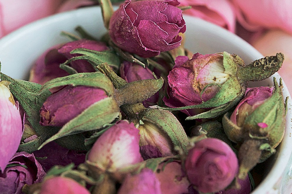 Luna se bo sprehajala po Ovnu, setveni koledar: plod, barva dneva: temno rdeča. (foto: Flora Press/Living & More, Friedrich Strauß, Mauritius images/Manuela Balck)