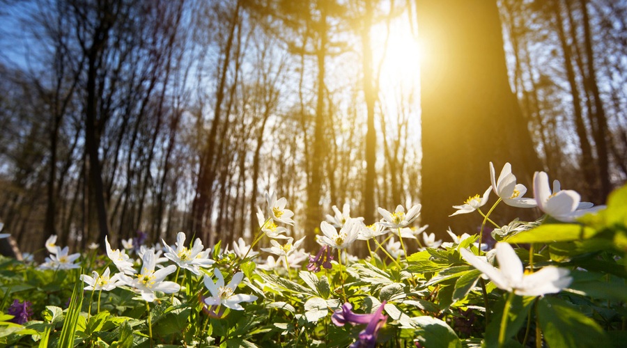 Trenutek, ki obrača usodo   (foto: Shutterstock)