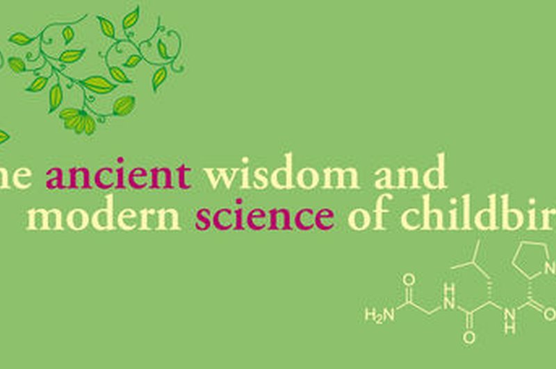 Na konferenci boste izvedeli, kako se lahko združita starodavna modrost in sodobna znanost poroda. (foto: Starodavna modrost in moderna znanost poroda)