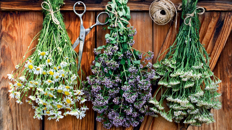 Užiten in okusen je lahko tudi plevel (foto: Shutterstock)