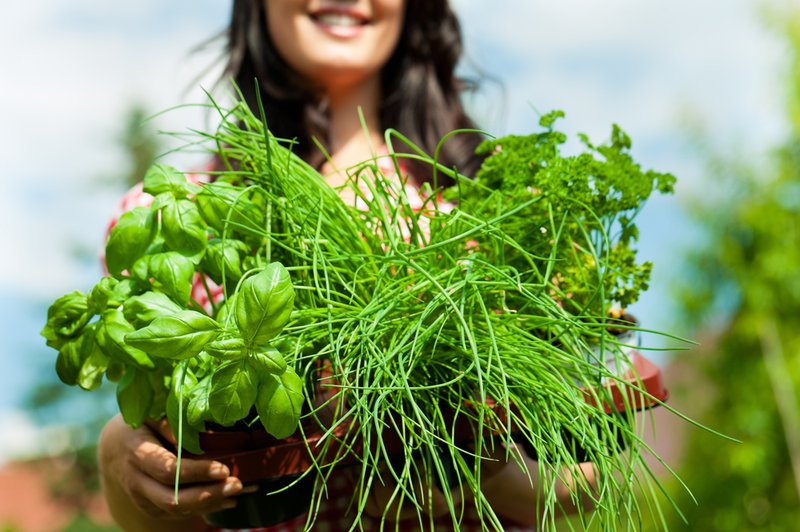Ženska, ki pozna skrivnost zdravilnih rastlin (foto: Shutterstock)