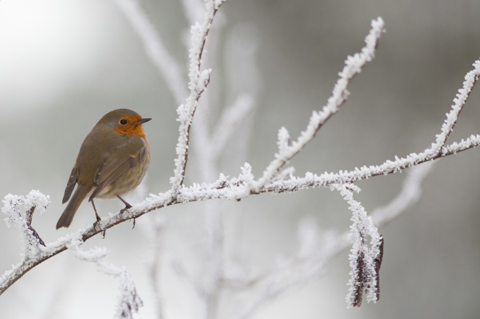 Hospickafe: »Podarimo življenje dnevom in ne dneve življenju« (foto: Shutterstock)