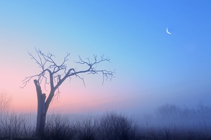 Luna na dan 14. 1. 2015 (foto: Shutterstock)
