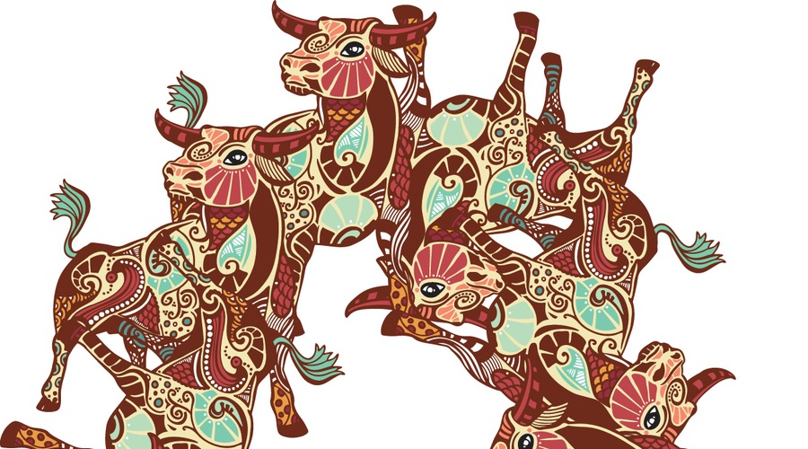 Sensin letni horoskop 2015: Bik (foto: Shutterstock)