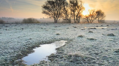 Sporočilo za današnji dan: Zaupajte v prihodnost