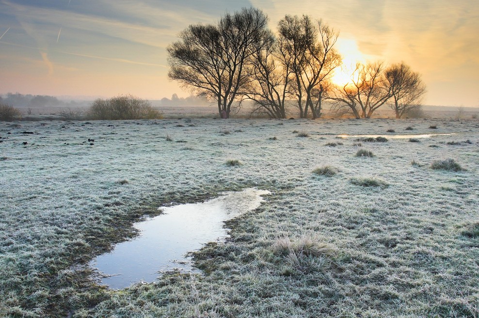 Sporočilo za današnji dan: Zaupajte v prihodnost (foto: Shutterstock)