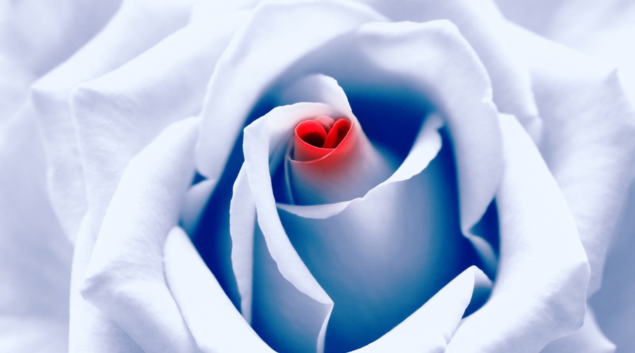 Ljubezenski horoskop od 2. do 8. 7. 2015 (foto: Shutterstock)