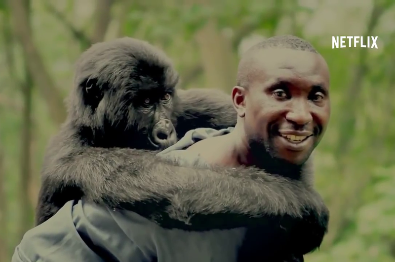 Virunga - dokumentarni film, ki vam bo segel do srca (foto: Youtube)