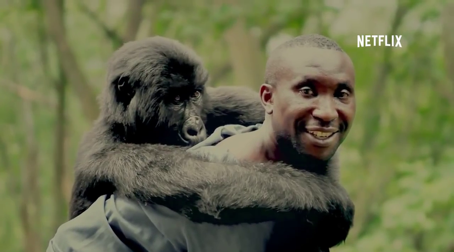 Virunga - dokumentarni film, ki vam bo segel do srca (foto: Youtube)