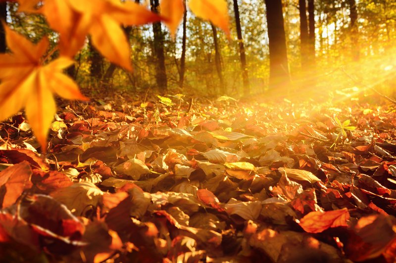 Oktober: energijsko razgiban mesec (foto: Shutterstock)