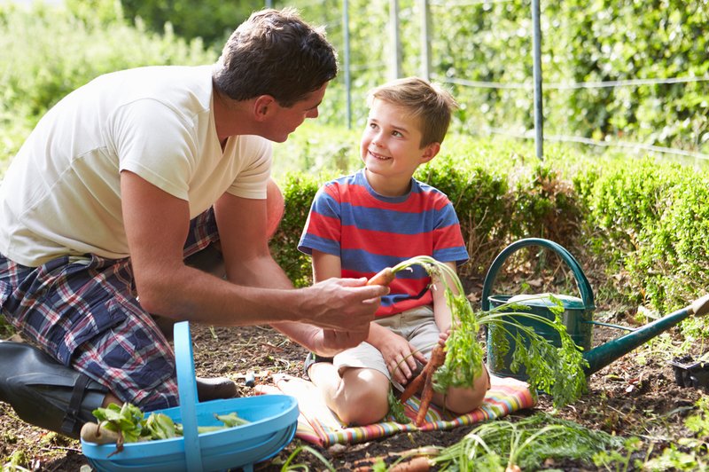 Zelenjavni vrt bi moral biti družinska vrednota (foto: Shutterstock)