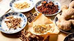 Modrosti prehranjevanja po kitajski tradicionalni metodi