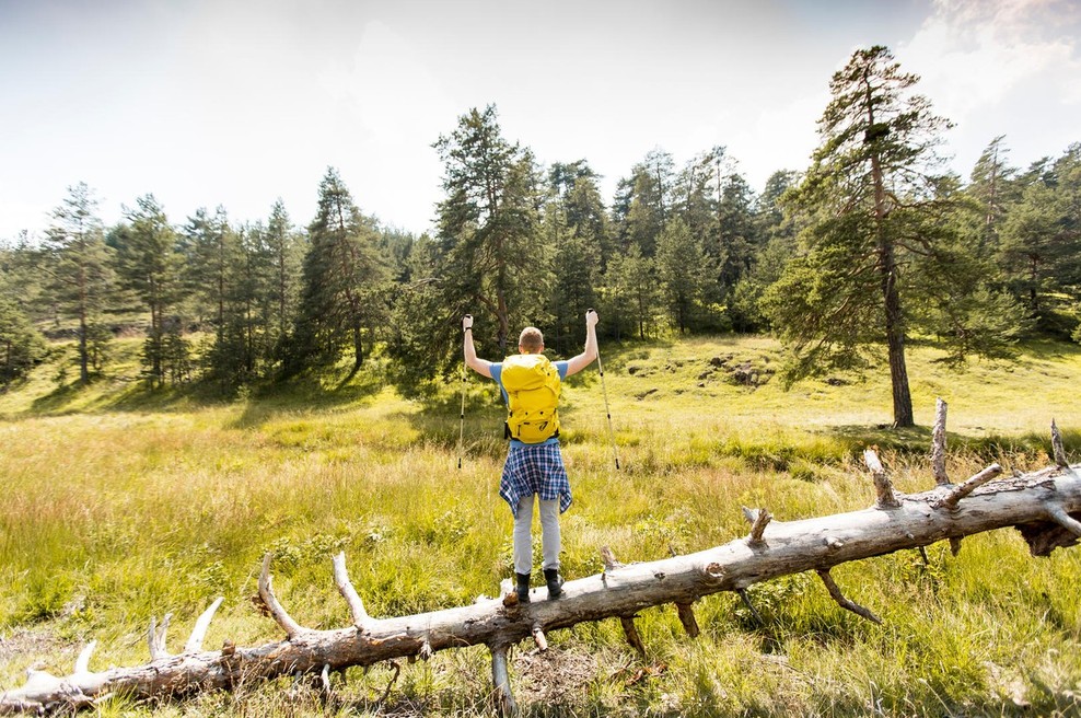 Sporočilo za današnji dan: Premagajte svoje strahove. (foto: profimedia)