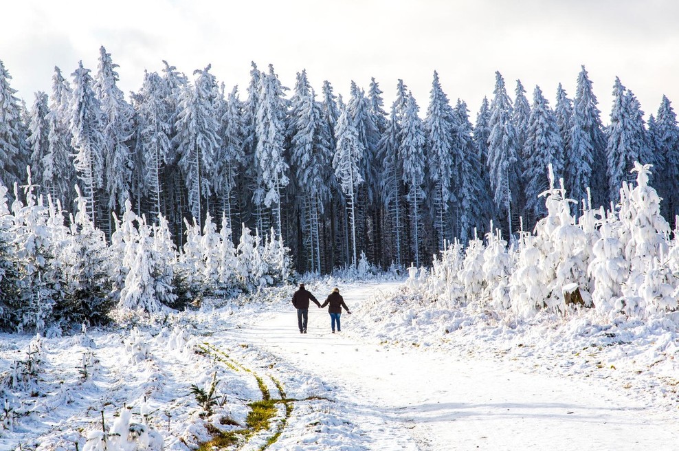 Sporočilo za današnji dan: Bodite modri (foto: profimedia)