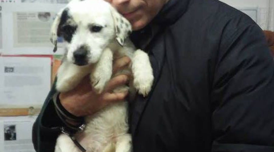 Jan Plestenjak posvojil kužka iz zavetišča (foto: zavetišče turk )