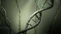 Naša DNK 'markira' prostor, zrak, predmete ...