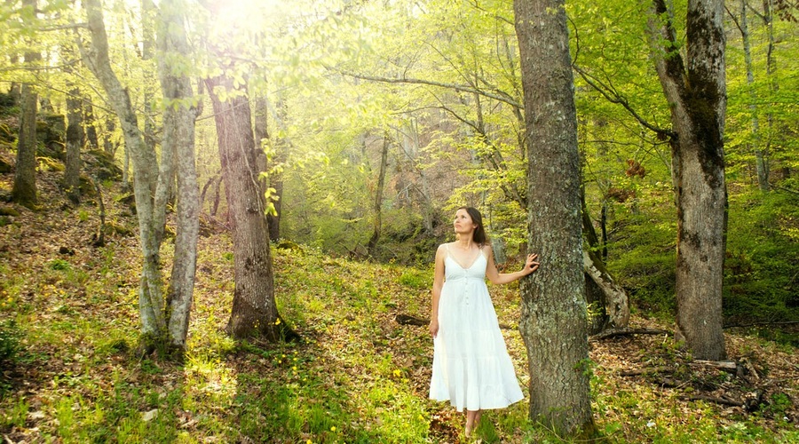 Drevesa so sposobna prijateljstva (foto: profimedia)