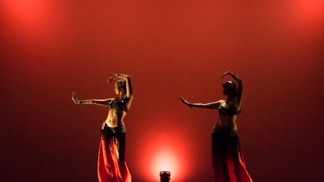 Hamsa, pet elementov orientalskega plesa