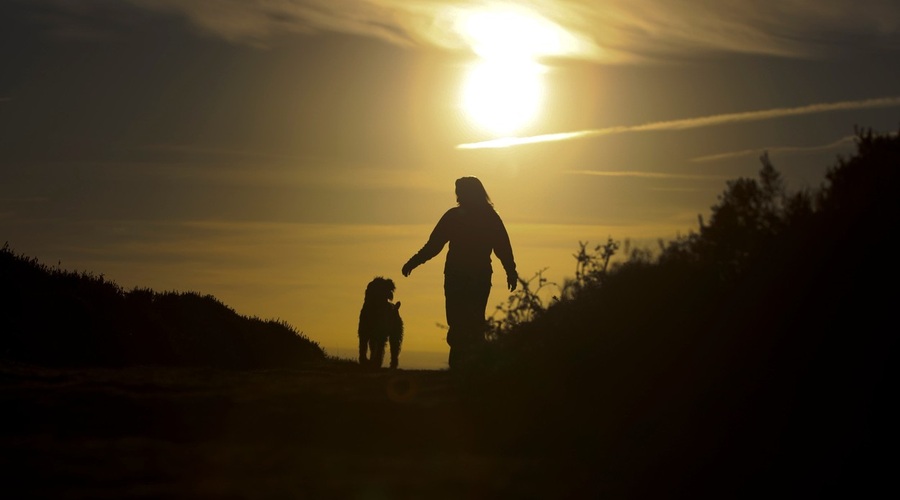 Mileni Močivnik v slovo - ena najbolj žalostnih zgodb na Slovenskem (foto: profimedia)