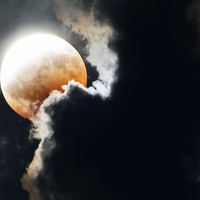 Tedenski horoskop prinaša preobrat: lunin mrk bo nagradil 3 znamenja