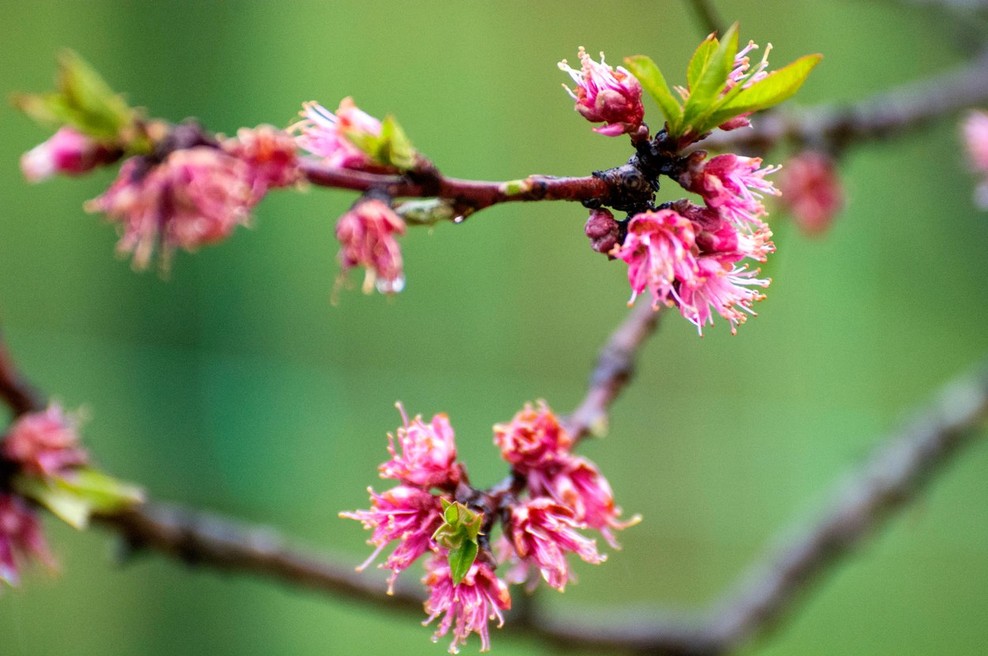 Predekvinokcijska koncertna meditacija z ansamblom Vedun (foto: profimedia)
