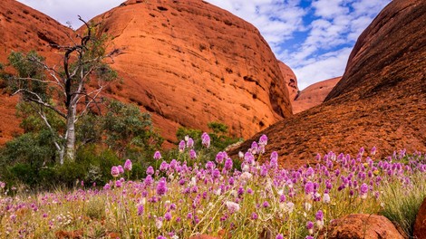 16 stvari, ki jih morda niste vedeli o Aboridžinih