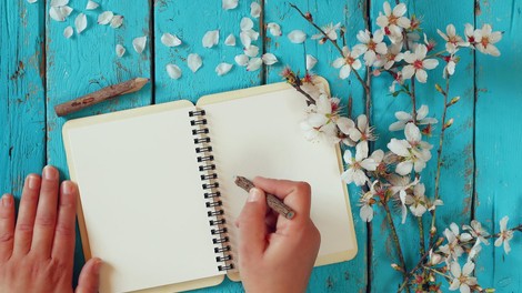 Rezultati Freudovega testa